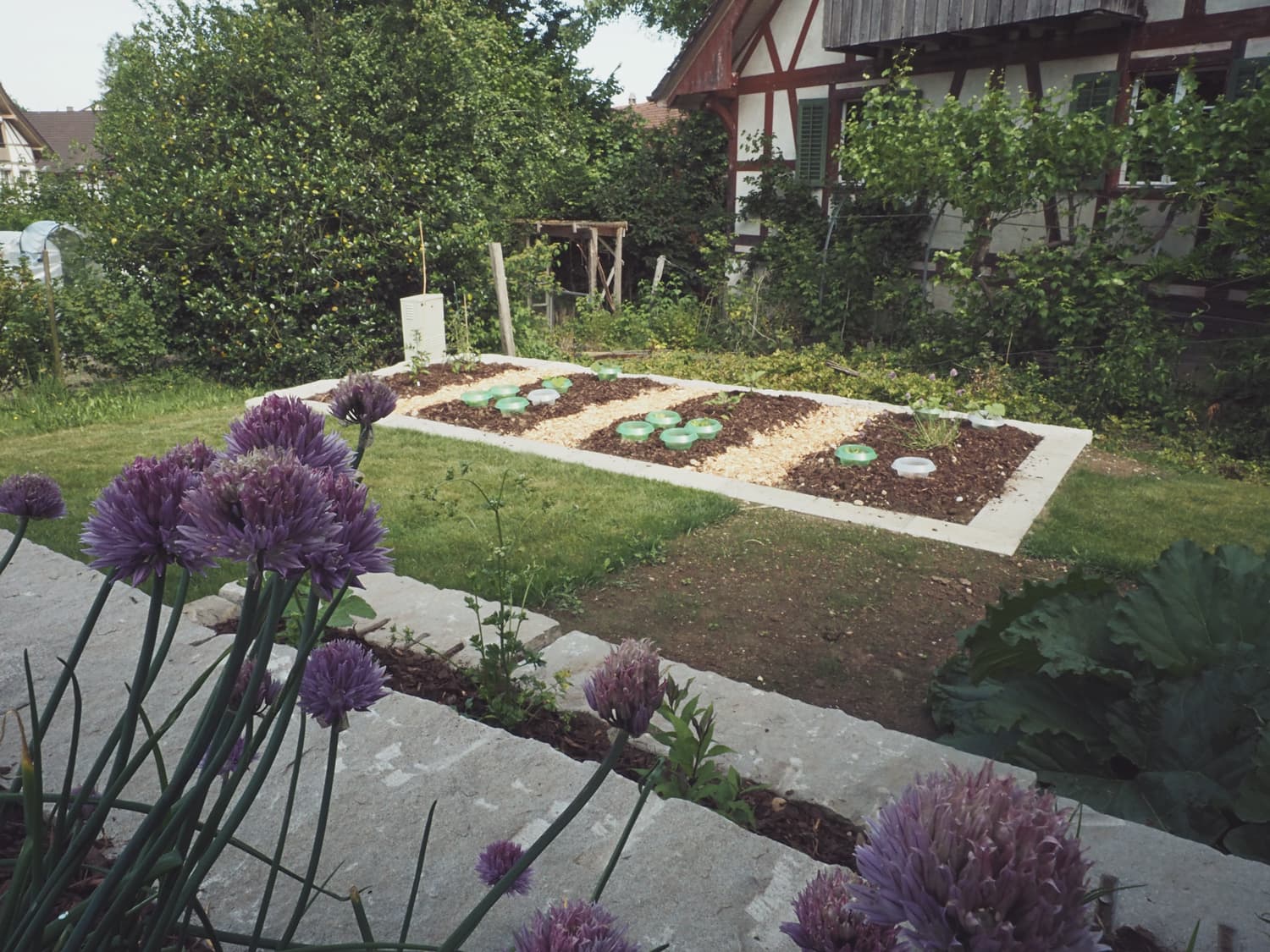 Blick in Garten von Feuerstelle