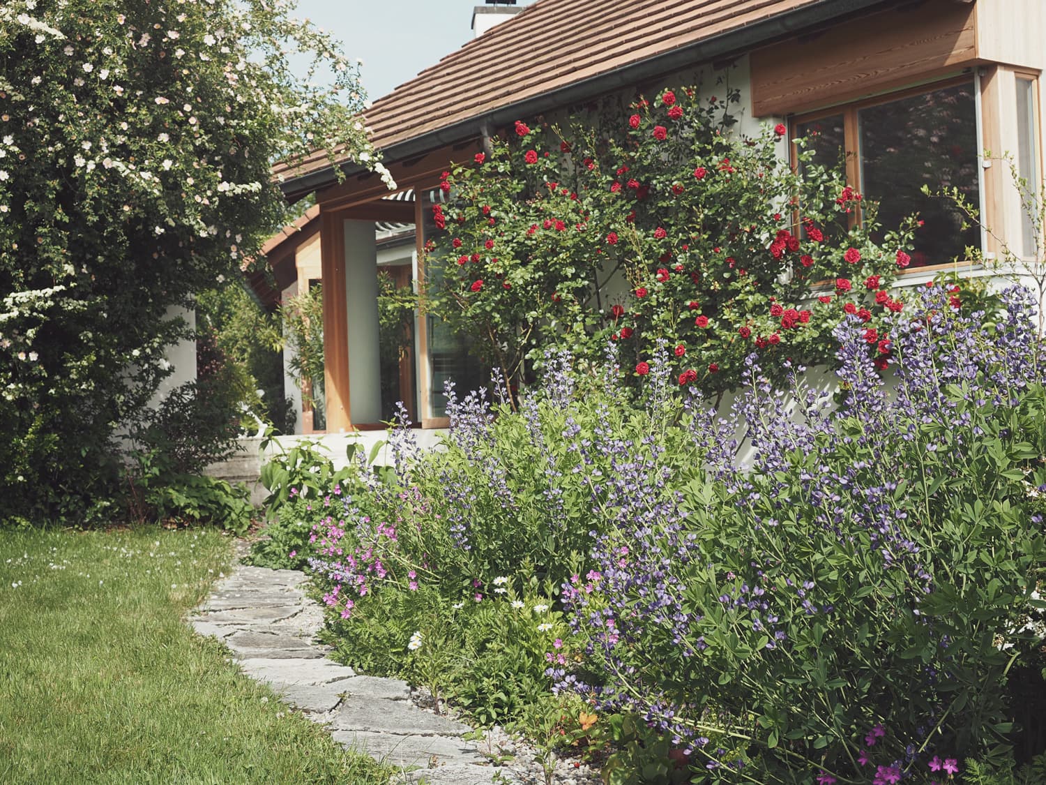 Blumenbeet und Vorgarten mit Steinweg