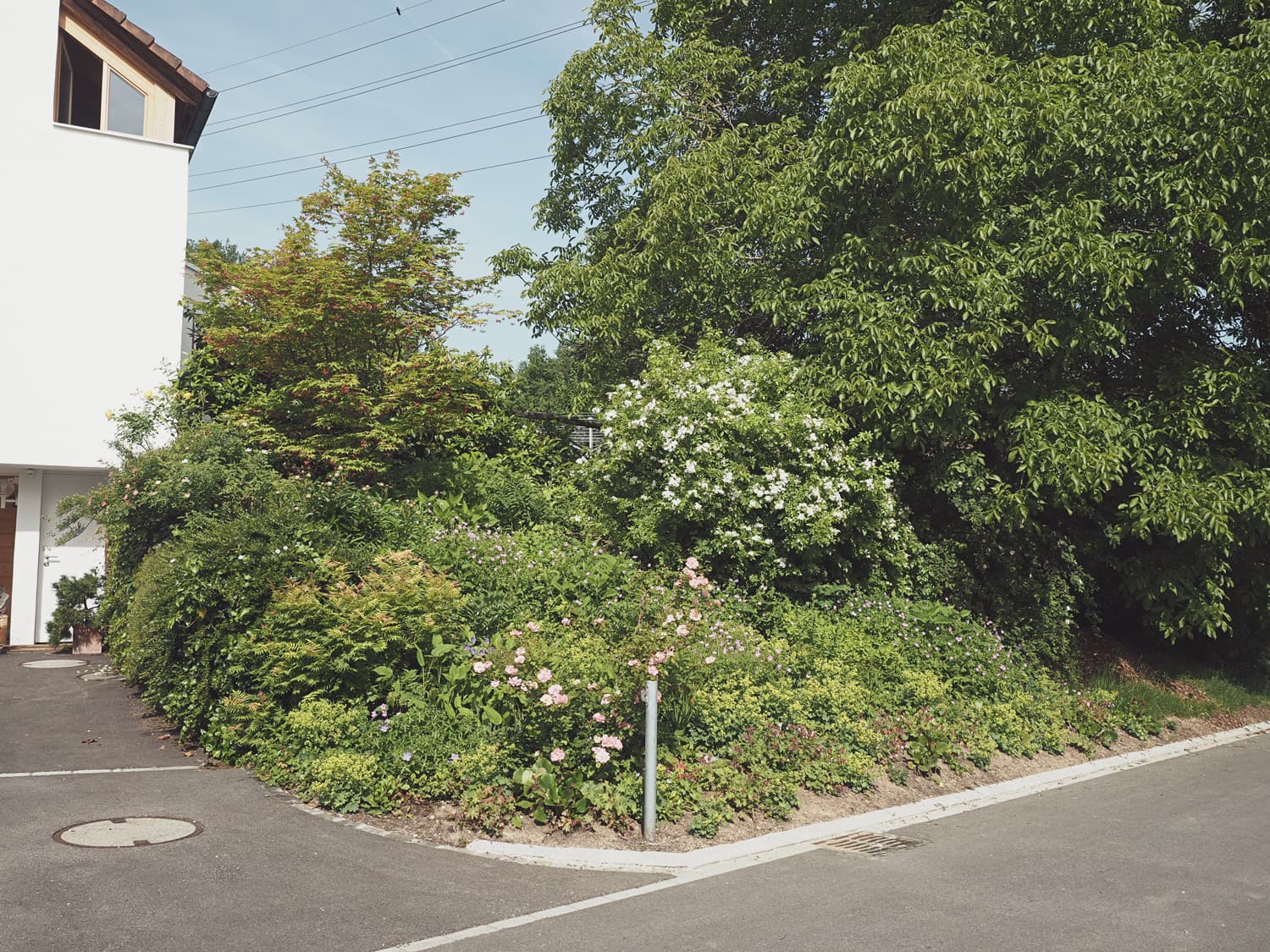Blumenbeet bei Einfahrt