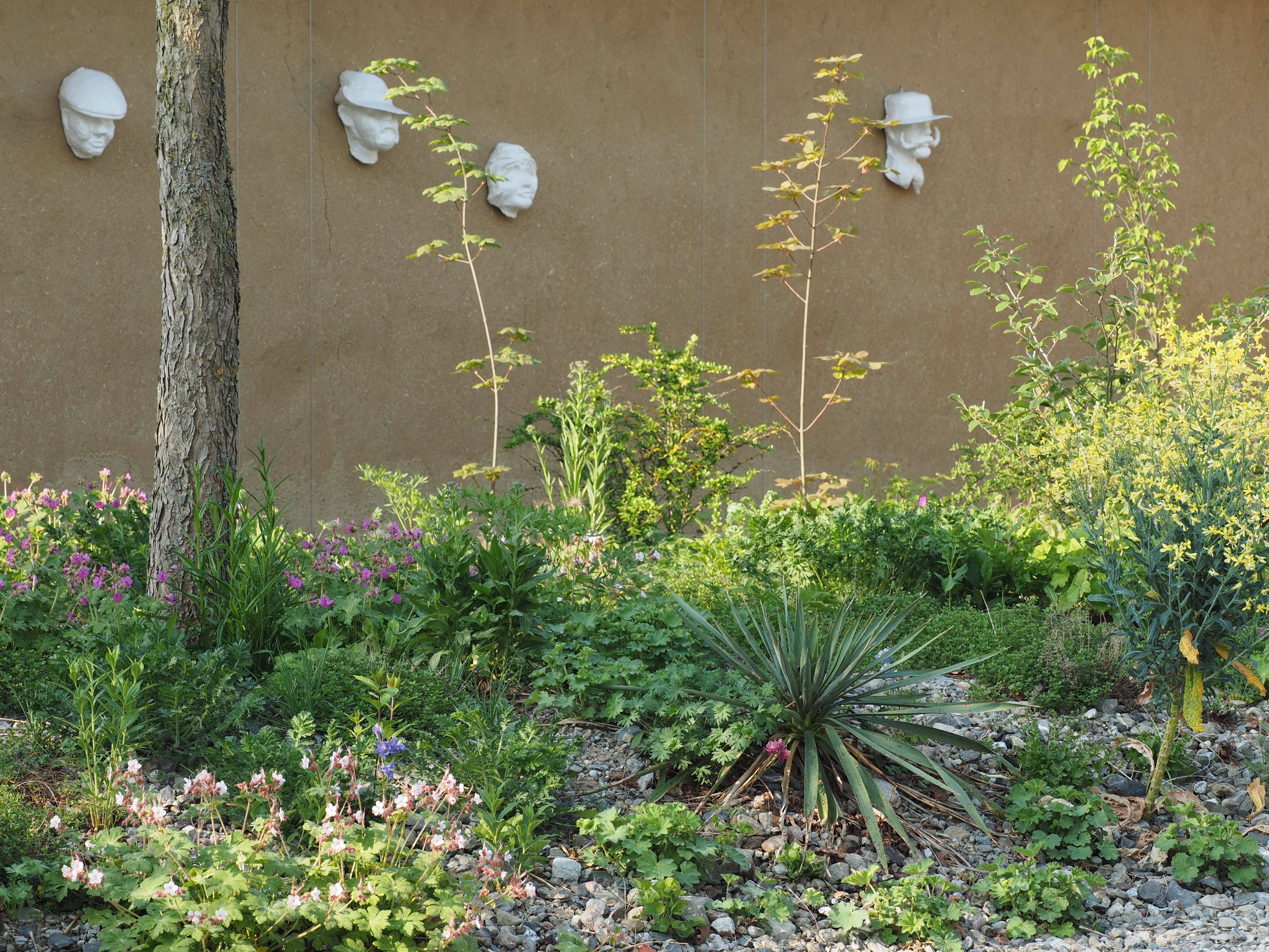 Garten mit Lehmwand im Hintergrund