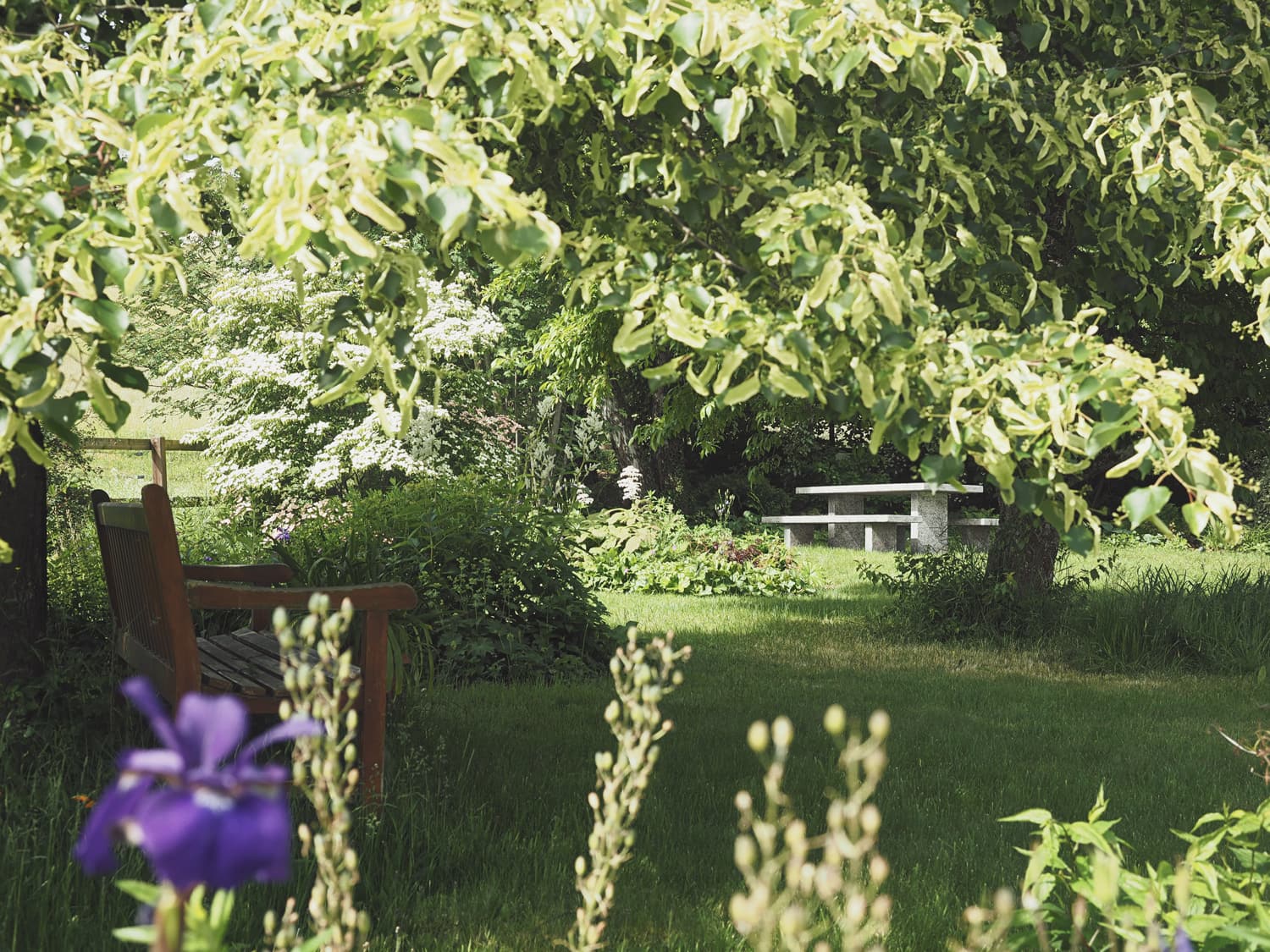 Foto durch Blumen vom Steintisch