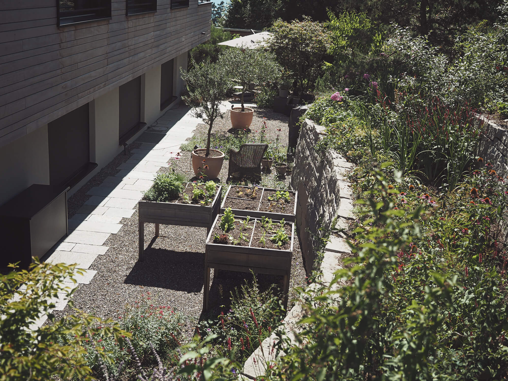 hochbeet-gemuese-kraeuter-gartist