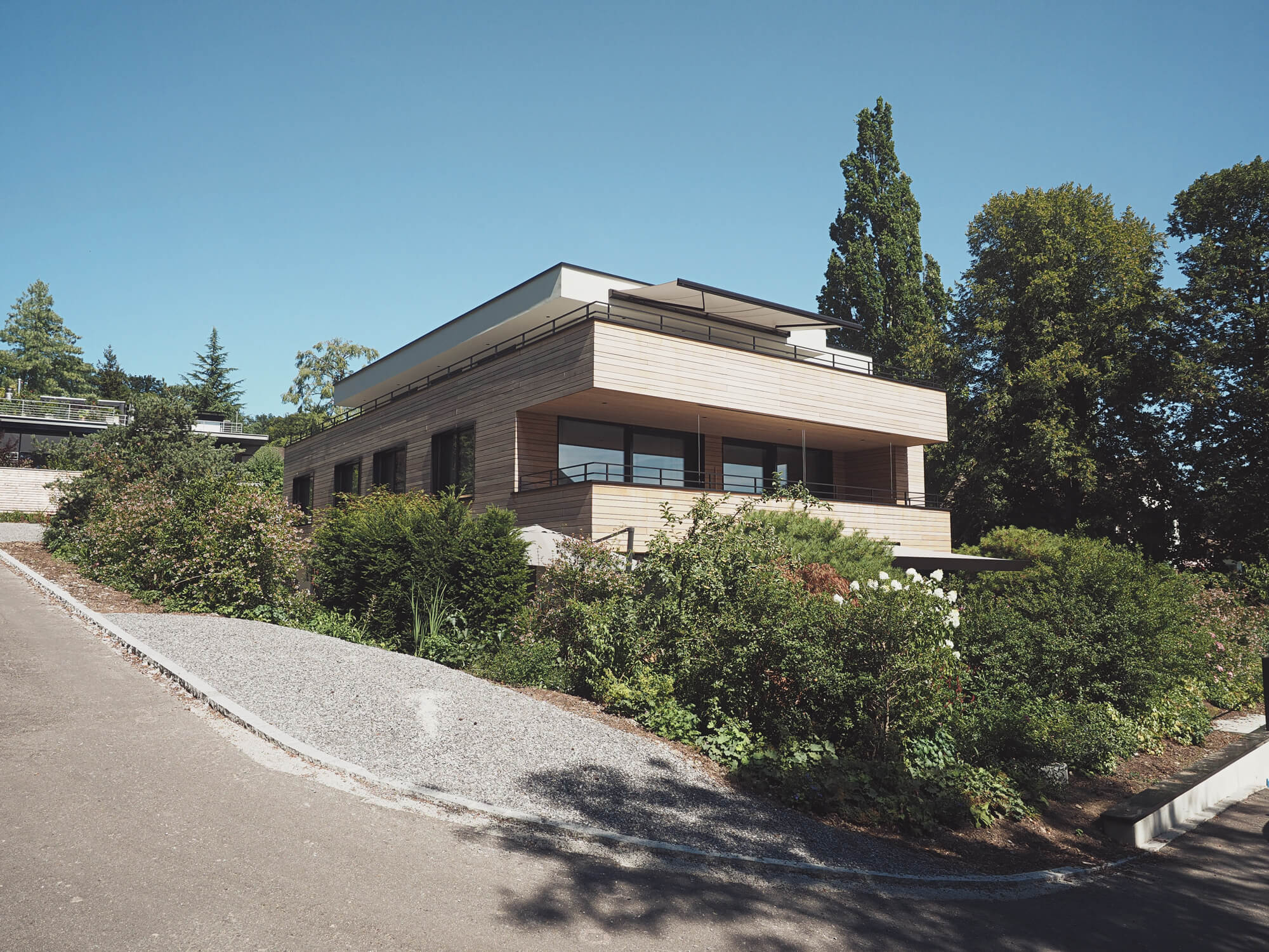 anblick-gewachsen-pflanzung