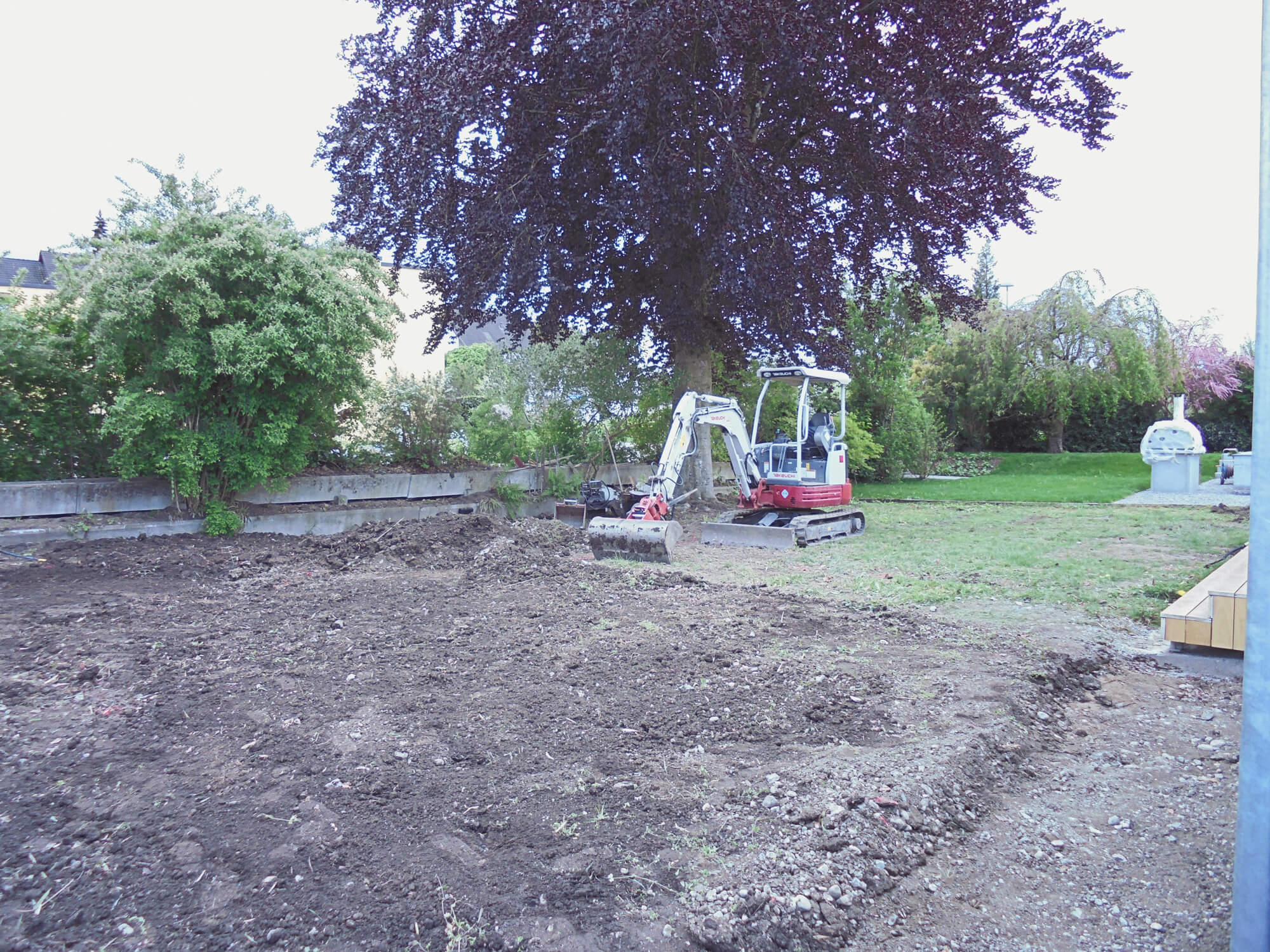 bagger-grasnarbe-erde