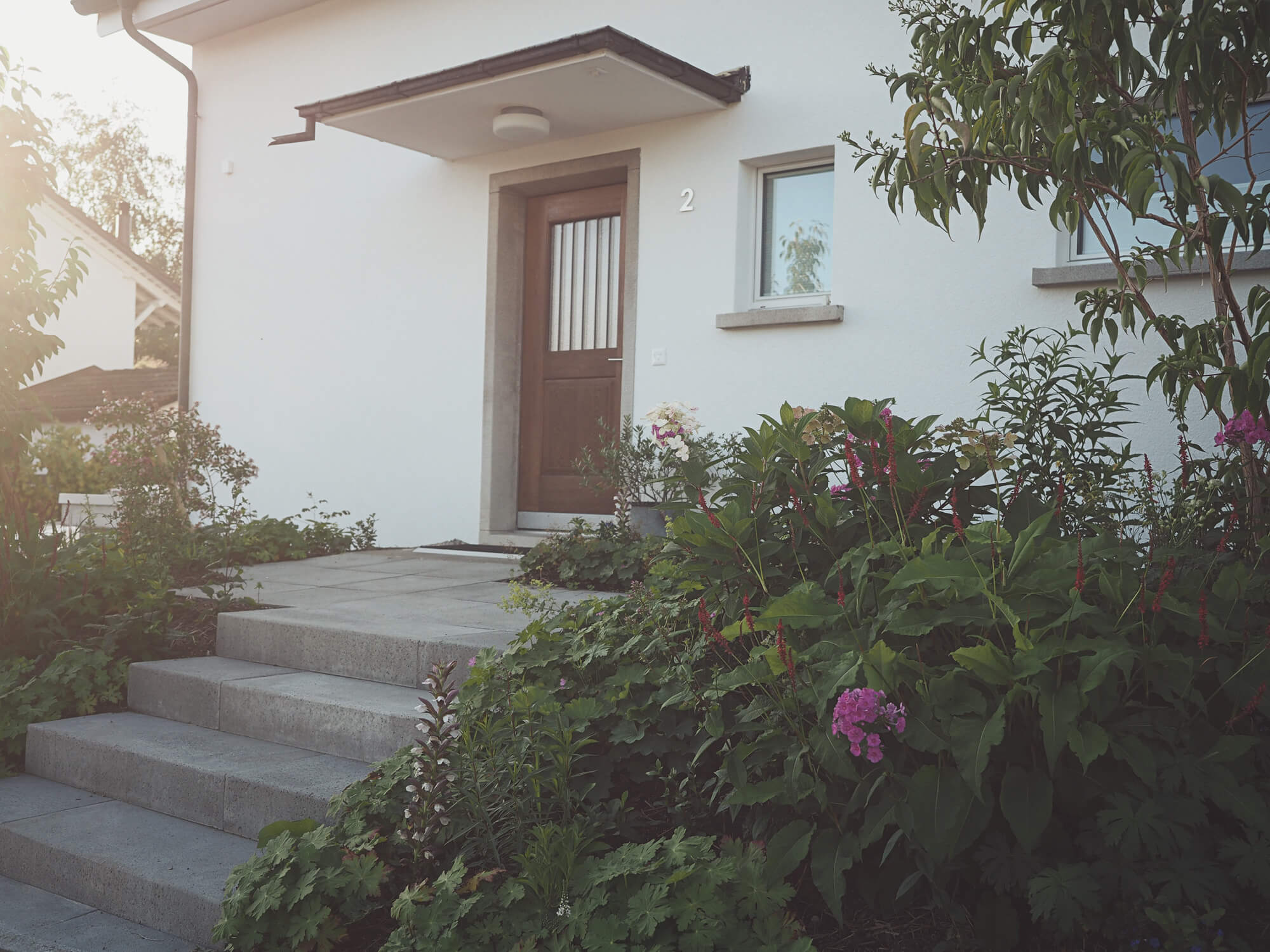 hauseingang-bepflanzung-treppe
