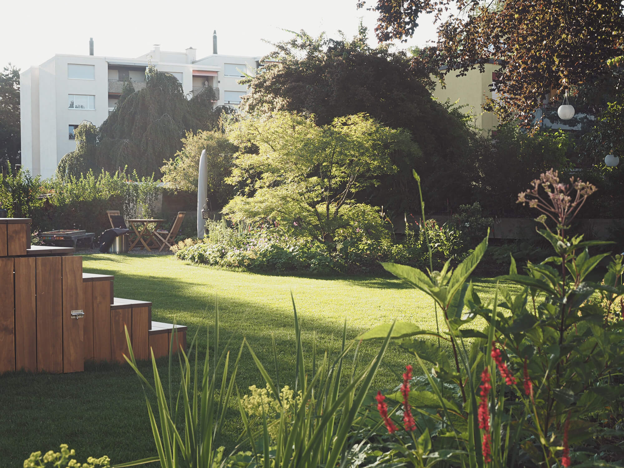 blick-in-den-garten-mit-bepflanzung