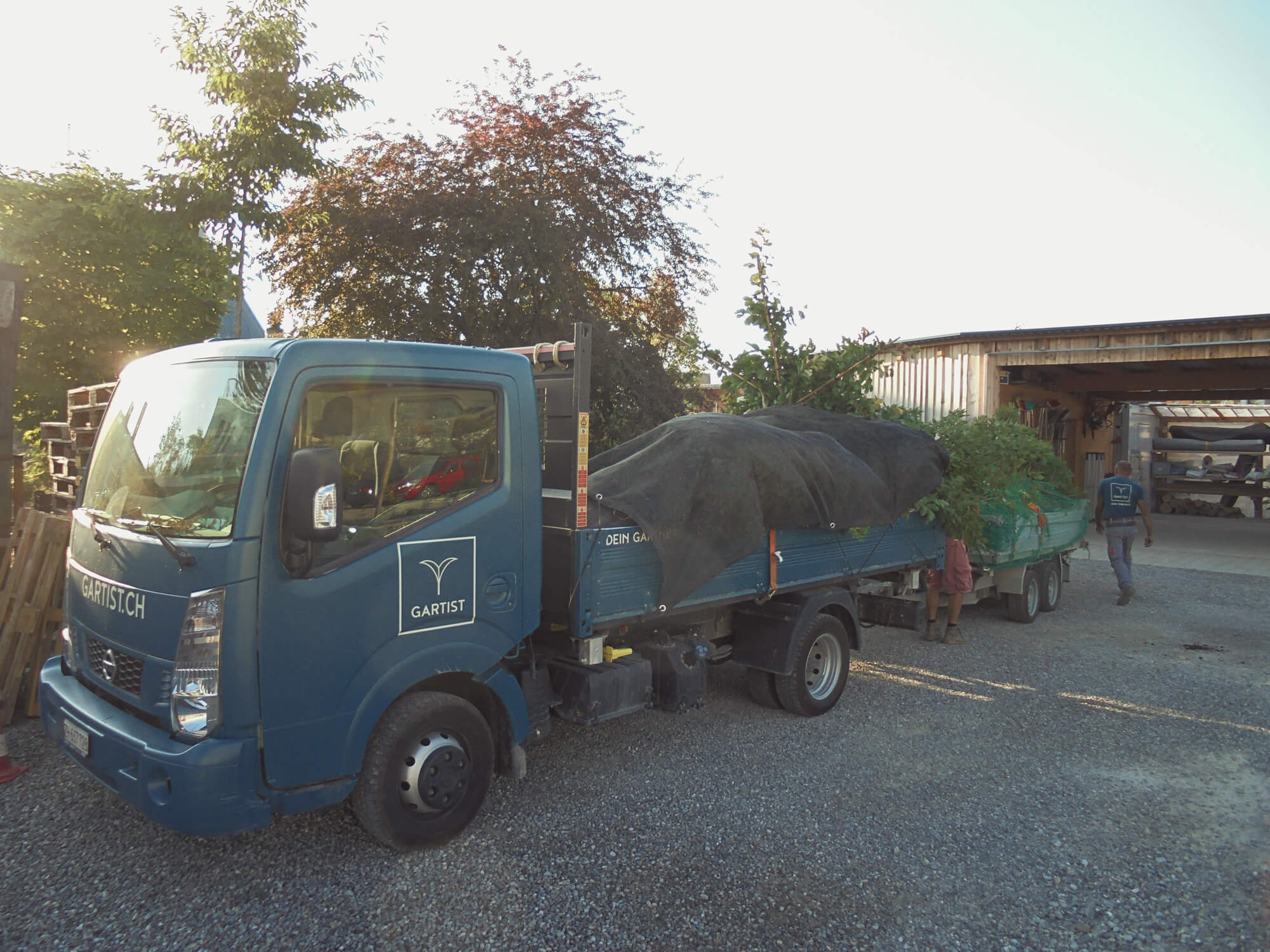 vorbereitung-transport-magazin-pflanzen