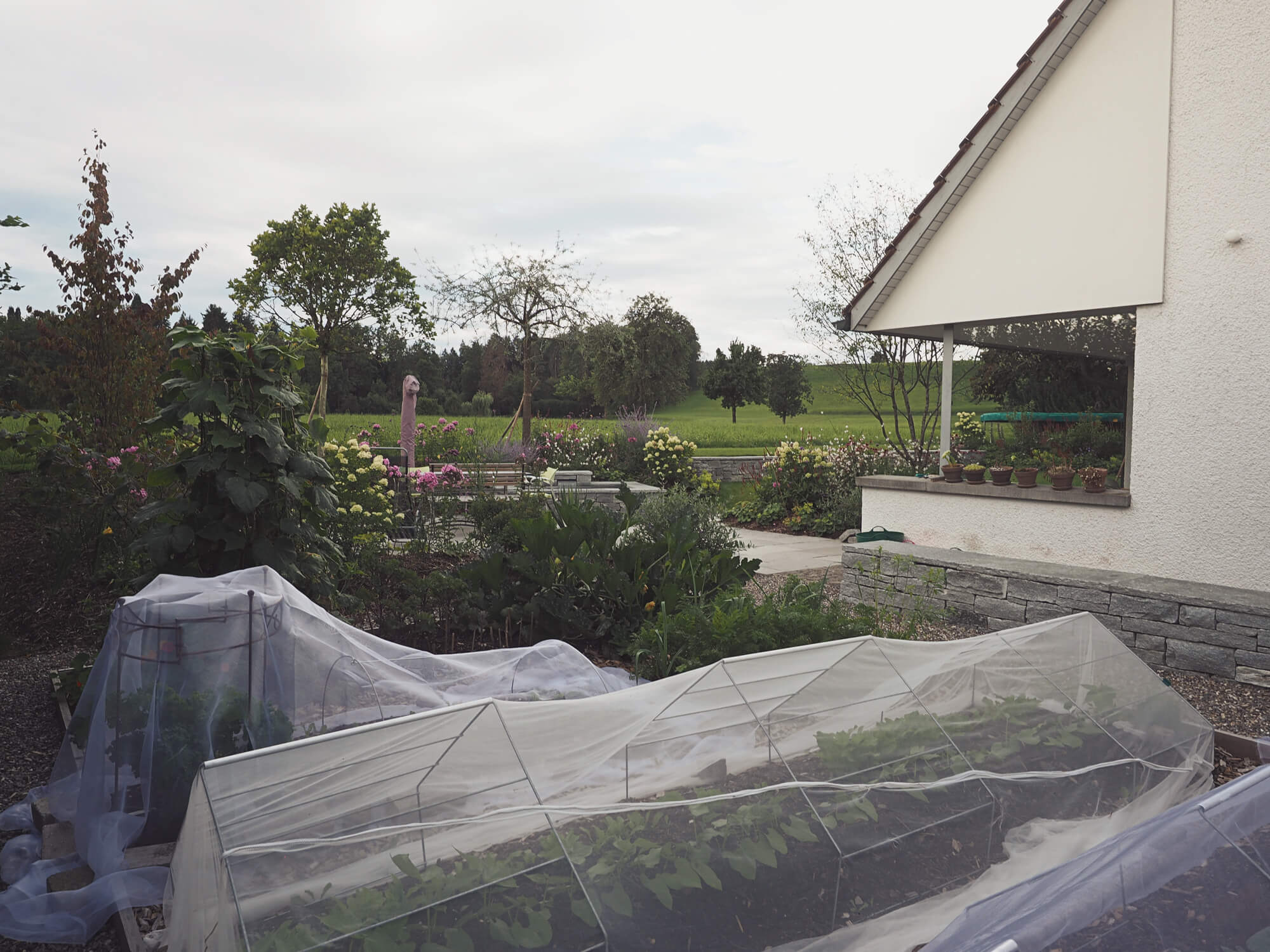 landhaus-garten-gemuese