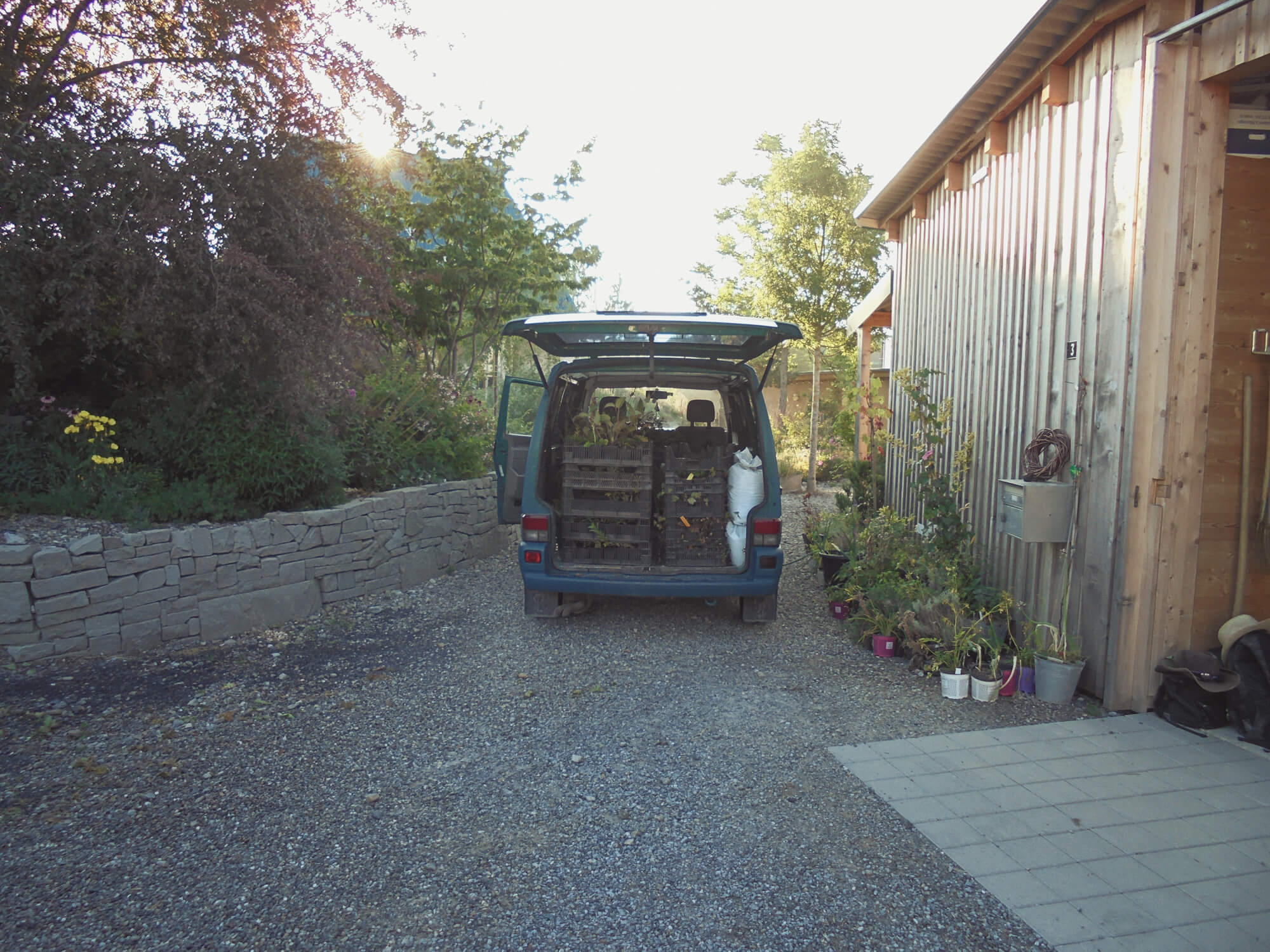 magazin-pflanzen-vorbereitung