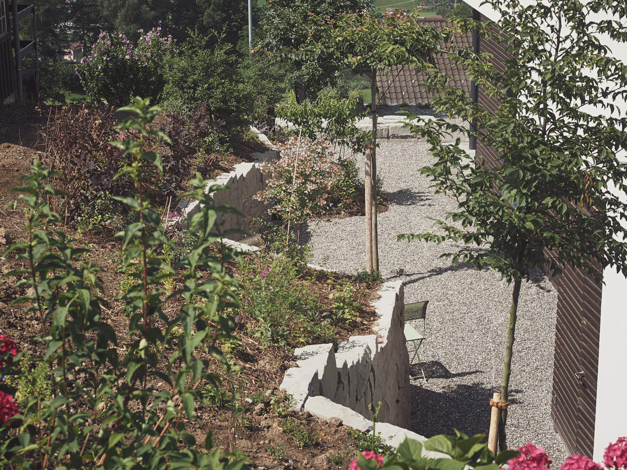 einblick-sitzplatz-gartist-pflanzung