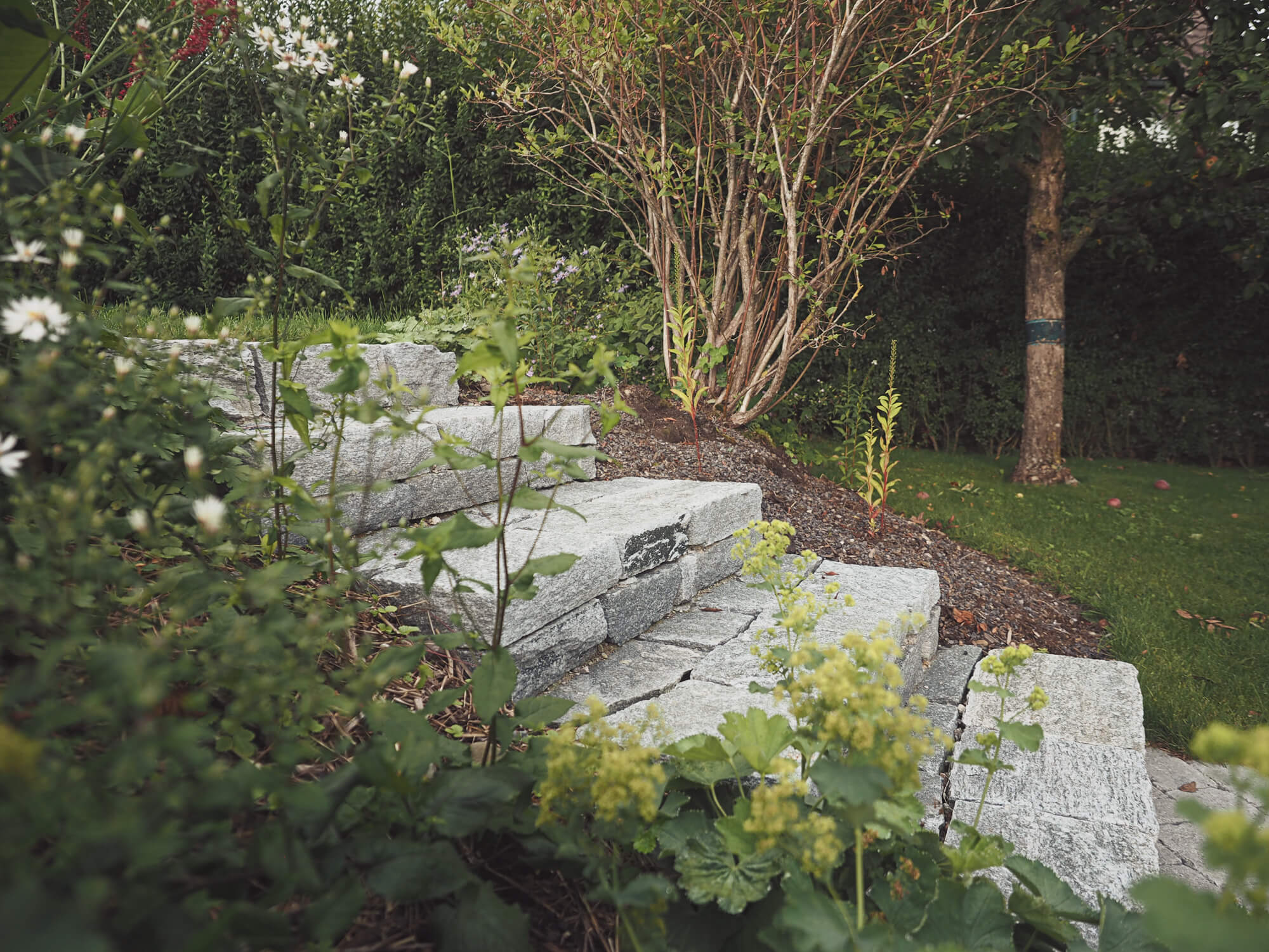 treppe-stein-quarzit