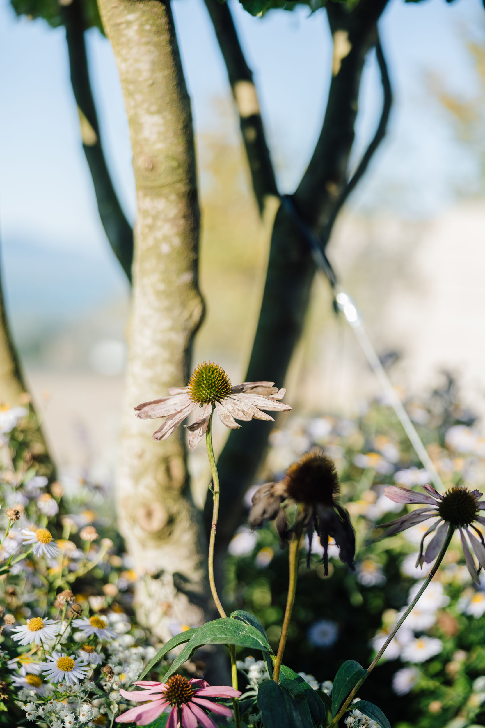025-Terrasse-im-Uetliburg-GARTIST