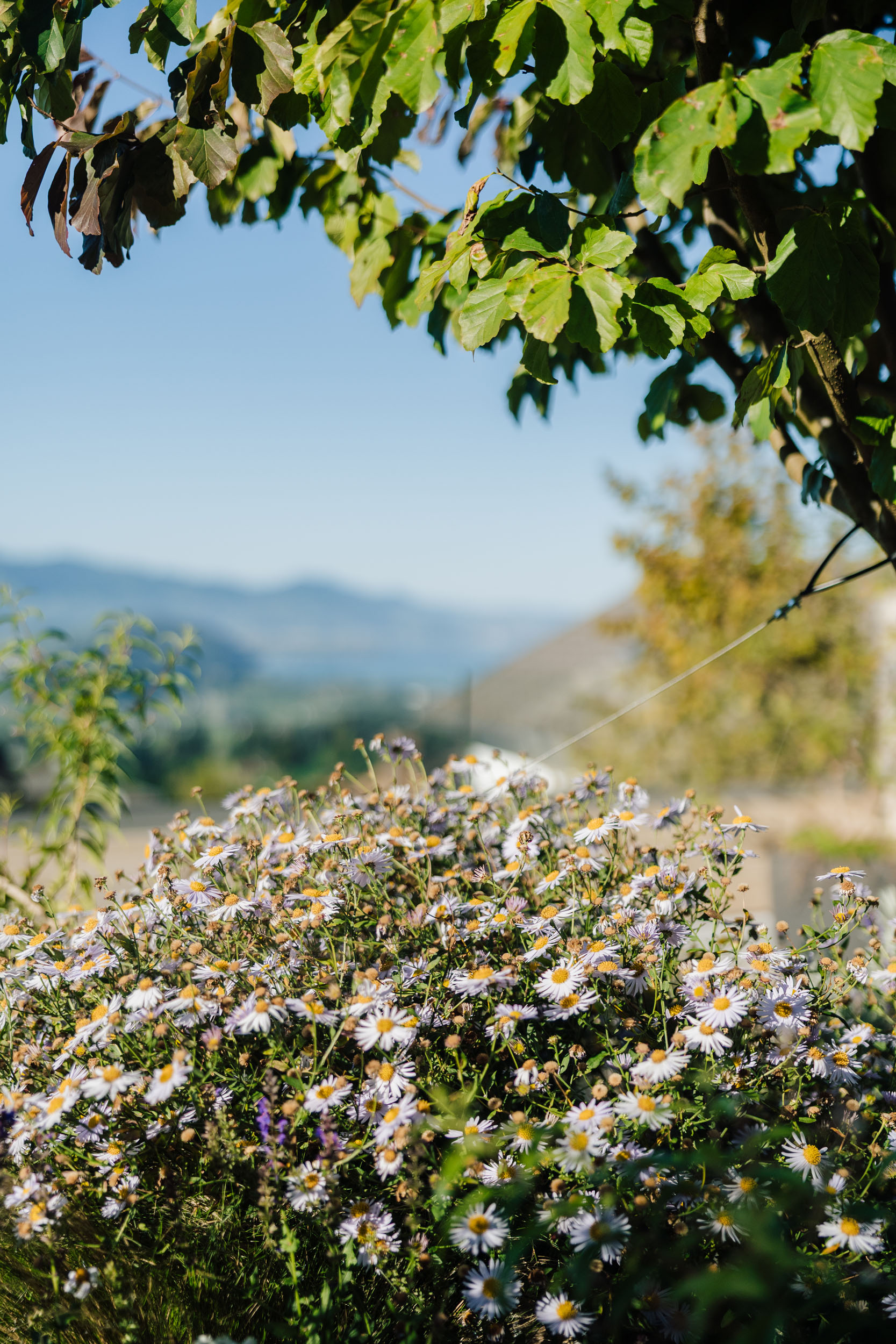 026-Terrasse-im-Uetliburg-GARTIST