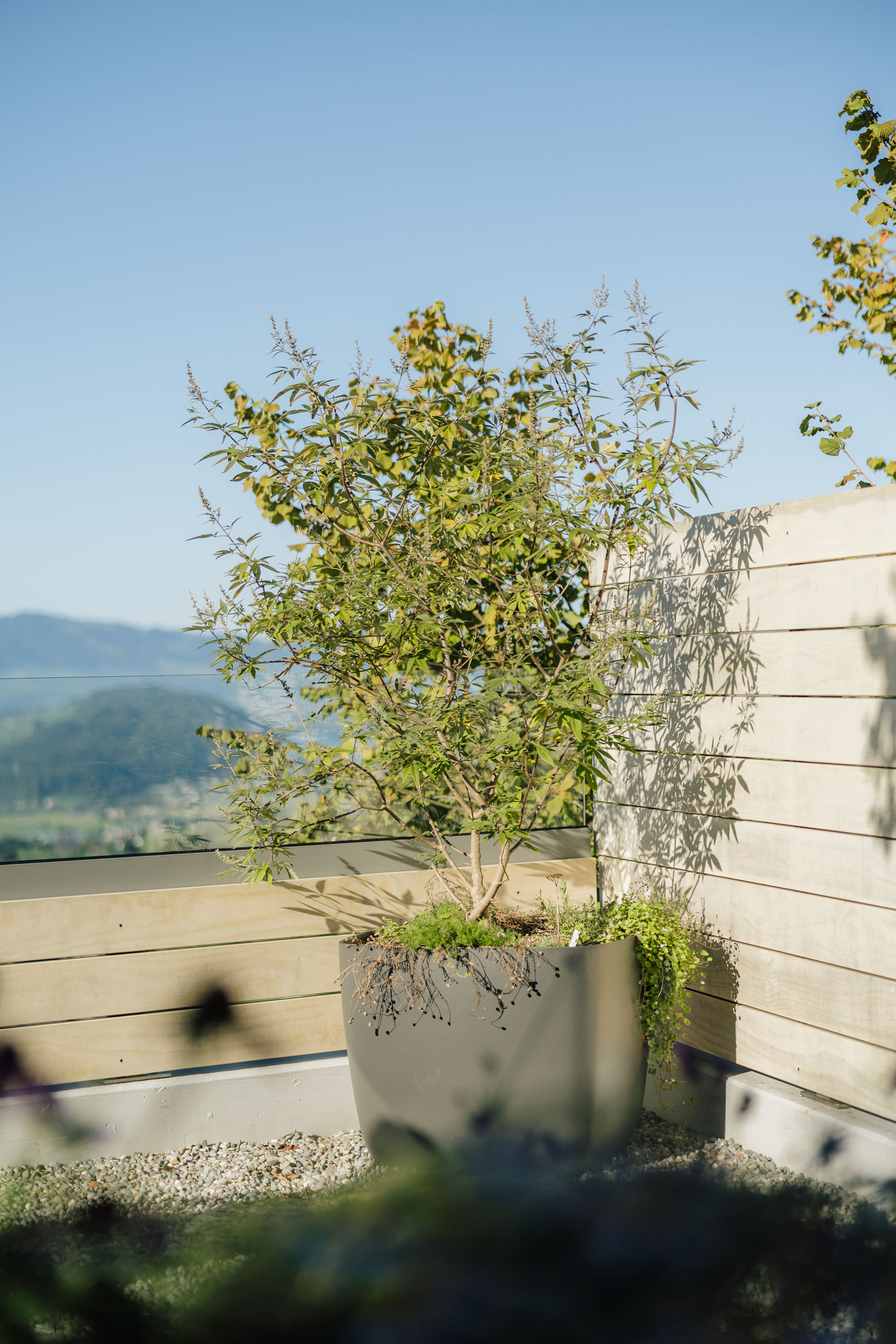 030-Terrasse-im-Uetliburg-GARTIST