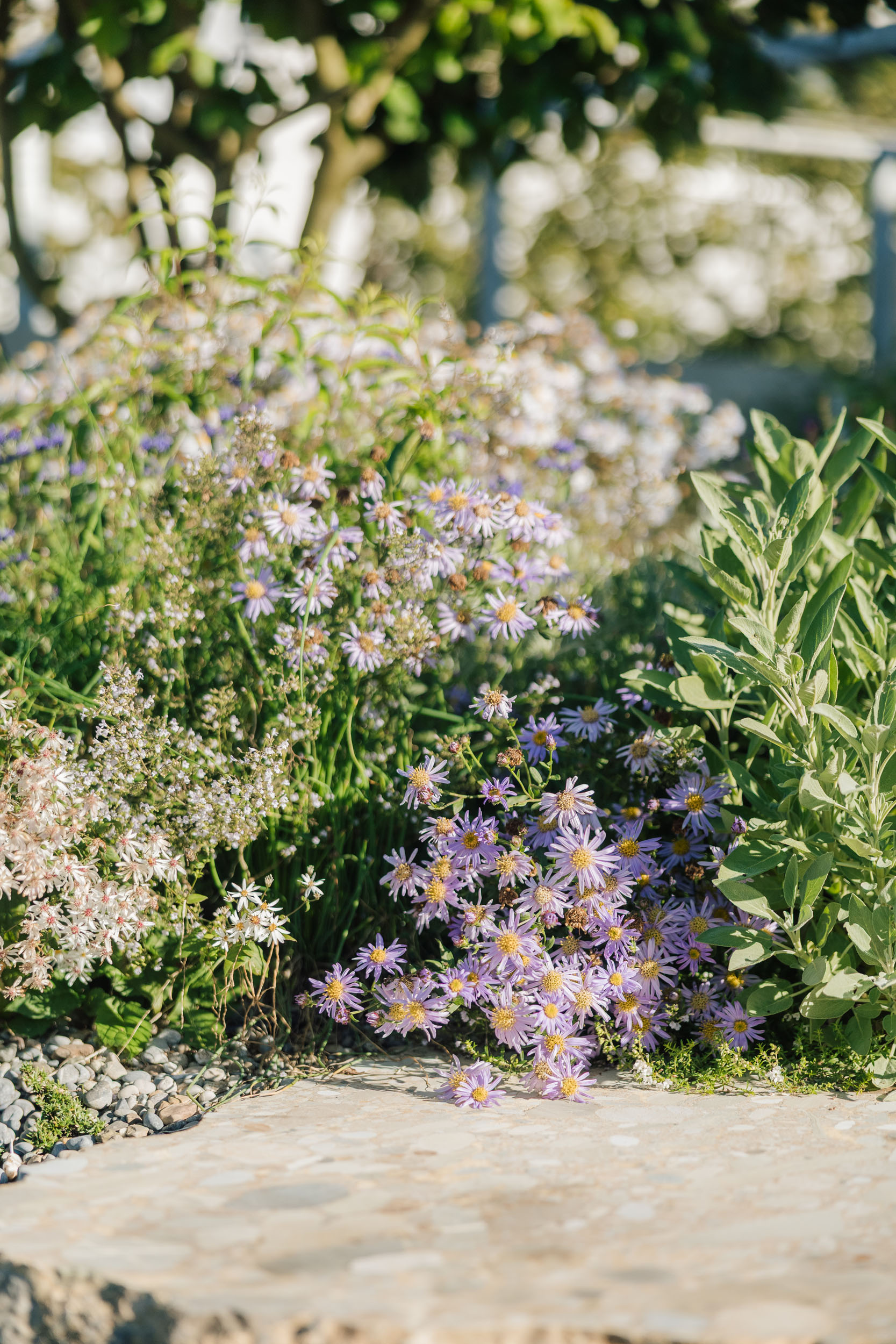 036-Terrasse-im-Uetliburg-GARTIST